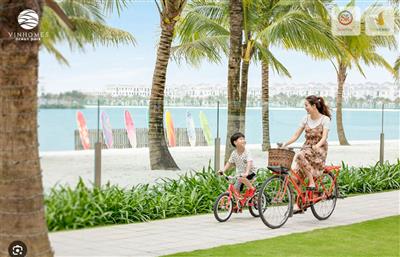 Biển Hồ Ngọc Trai Vinhomes Ocean Park – Biểu Tượng Nâng Tầm Giá Trị Sống Và Bất Động Sản